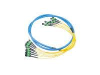 Cable Assembly