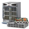 Fibre Channel Networking Fibre Channel Networking