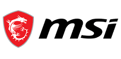 MSI logo