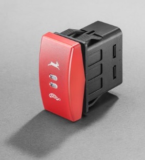 Rocker switches