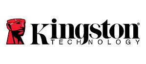 Kingston Memory