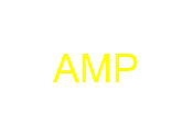 AMP