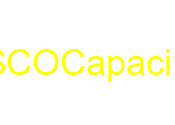 ESCO Capacitor