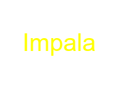 Impala