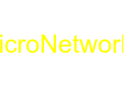 Micro Networks