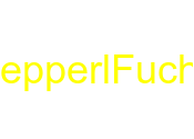 Pepperl Fuchs