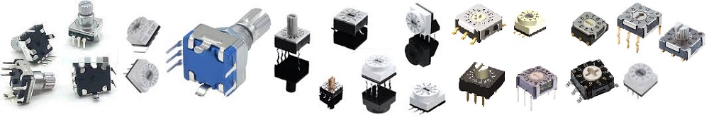 Diptronics Rotary Switches