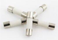 Hollyland 50CF Fast-Acting Ceramic Fuse