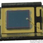 TEMD5020X01 Vishay Photodiode PIN Chip 900nm 2-Pin SMD