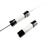 SCP10A250V Walter Fuse 250V 10A Axial