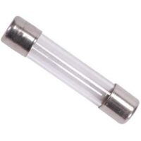 61NM-020H/L Hollyland Fuse 250V 2A Glass Cartridge
