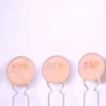 RG ALLEN Ceramic Capacitor  0.1uF 50V Z5V  +80%-20% Radial