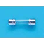 Bel 5SF10A-R Fuse Miniature 10A 250V Fast 2-Pin