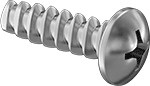 99461A615 Phillips Rounded Head Thread-Forming Steel 1/4" Screw