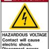 Clarion C2848-04 Adhesive Backed Label "Danger / Hazardous Voltage" - Image 2