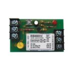 RIBMNH1C Electronic Components