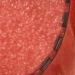 SN74LVC126ARGYR Texas Instruments Buffer Line Driver 3.6V 14-VQFN