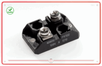 PR102-2X100R-10% Electronic Components