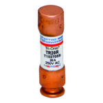TR20R Mersen Fuse 20A 250VAC Cartridge